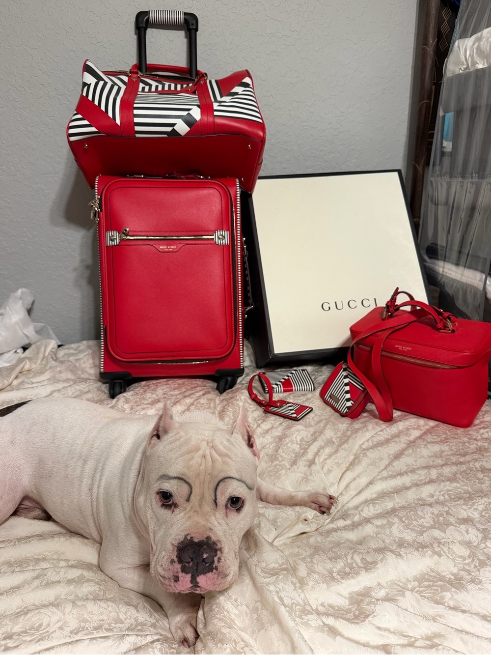 Henri Bendel Red and Black Geometric travel bundle